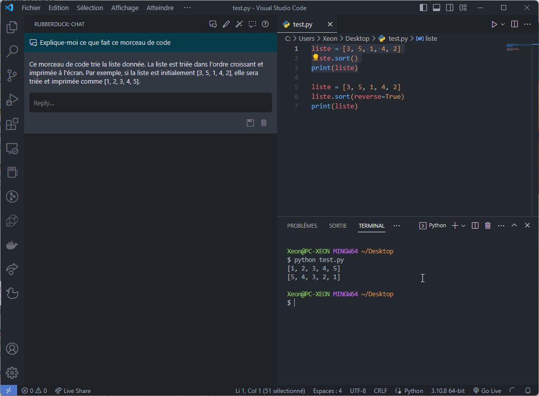 rubberduck vscode explique code